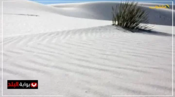 12.9 مليار دولار.. هكذا بلغ حجم سوق الرمال البيضاء عالميًا في 2024 معلومات الوزراء تكشف تفاصيل التوسع الكبير 1